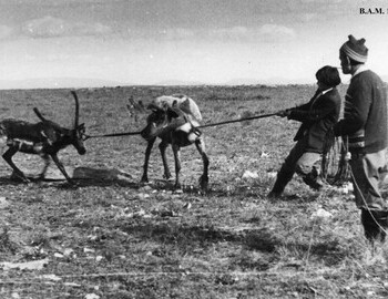 1982. Photo by V. Maltsev