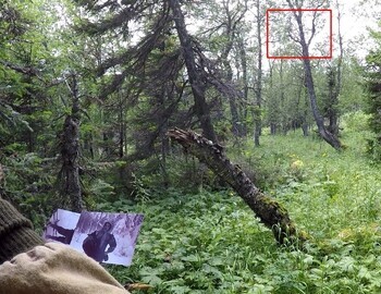 We begin the identification of the fork-tree from the Dyatlov group photos