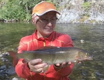 Taymen is the King Fish Of The Siberian Rivers