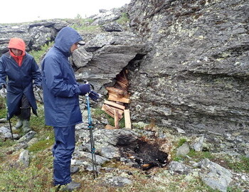 Ayrat and Vlad, firewood on Dyatlov Pass