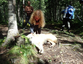 Aleksey Vasyov's dog Ural and Teddy