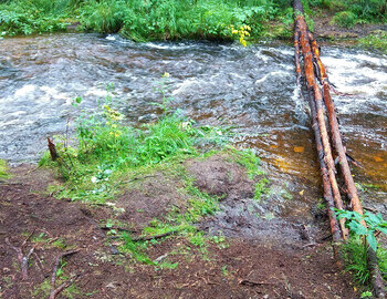 The cross over the river where Shamil slipped into the river. Three days ago when he fell the water level was much higher.