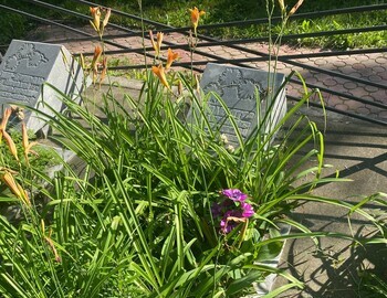 Mihaylovskoe cemetery, Thibeaux-Brignolle and Kolevatov