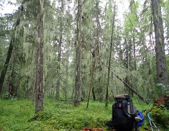 I can no longer lift my backpack, on the way to Kaska campsite, August 4, 2024