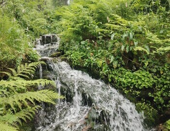 The creek by our camp, photo by Ira Tolmatskaya