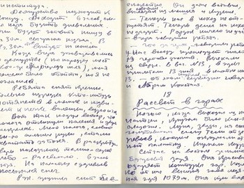 Grigoriev notebook 10 - scan 38