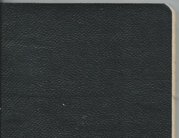 Grigoriev notebook 10 - scan 46
