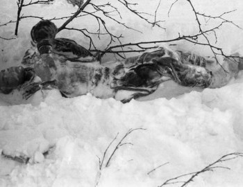 Igor Dyatlov found 300 m from the cedar tree, 27 Feb 1959