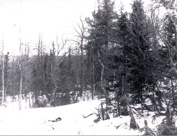 4. On the right at the front edge are the trimmed tops of small fir trees. One trouser leg was found in the center of the frame (the next frame shows it in a closer view).