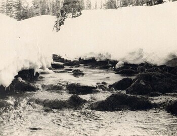 27. We took water from this stream for cooking. * The same stream where the den and bodies were later found.*