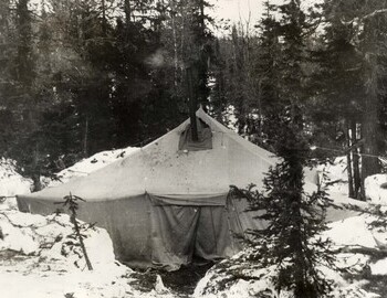 54. The tent did not stand on the ground, but on spruce branches. There is still a meter of snow, and this is in the forest.