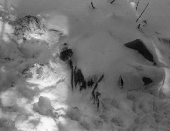 Doroshenko (face down) and Krivonischenko (face up) under the cedar tree, 27 Feb 1959