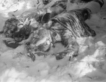 Doroshenko (face down) and Krivonischenko (face up) under the cedar tree, 27 Feb 1959