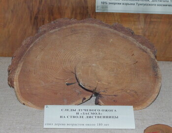 Traces of beamed burn and resin deposits on the trunk of a 180 yo larch tree