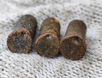 The first two from the left were found at the cedar, the one on the right was found at the site of the tent.