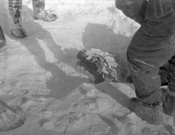 Rustem Slobodin found 480 m from the cedar tree, 5 Mar 1959