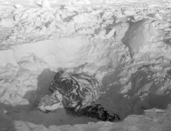 Rustem Slobodin found 480 m from the cedar tree, 5 Mar 1959
