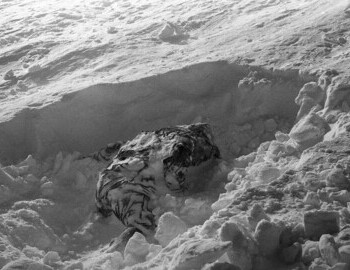 Rustem Slobodin found 480 m from the cedar tree, 5 Mar 1959