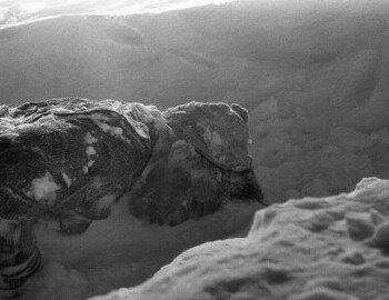 Rustem Slobodin found 480 m from the cedar tree, 5 Mar 1959