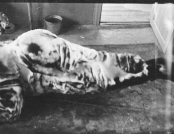 Rustem Slobodin in Ivdel morgue, 5 Mar 1959