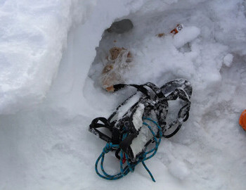an ice axe, a burst thermos, a carabiner, a climbing harness and a bag with bread. Bites have been taken of it.