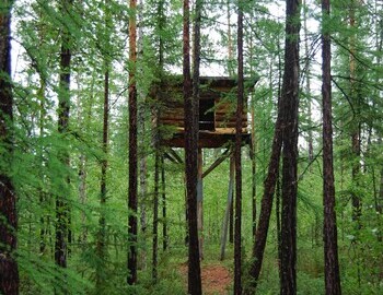 Kulik's camp, photo Mark Mark Boslough, 2008
