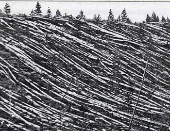 Leonid Kulik 1927, first expedition to Tunguska event