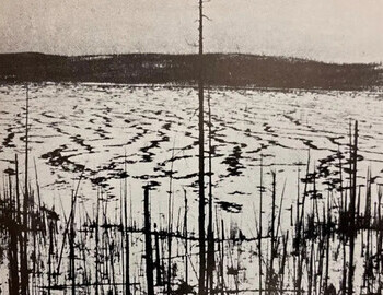 Leonid Kulik 1927, first expedition to Tunguska event