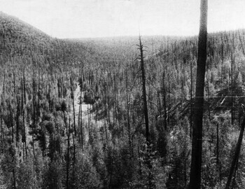 Leonid Kulik 1927, first expedition to Tunguska event