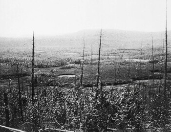 Leonid Kulik 1927, first expedition to Tunguska event