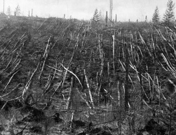 Leonid Kulik 1927, first expedition to Tunguska event