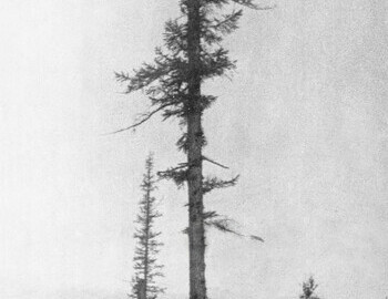 Leonid Kulik 1927, first expedition to Tunguska event