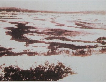 Tunguska marshes, 1930