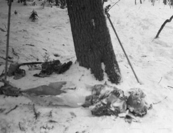 Yuri Krivonischenko under the cedar tree, 27 Feb 1959