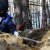 Komsomolskaya Pravda - Zolotaryov exhumation at Ivanovskoe Cemetery in Yekaterinburg